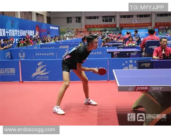 成都乒乓球队快攻战术分析与比赛表现的得失总结