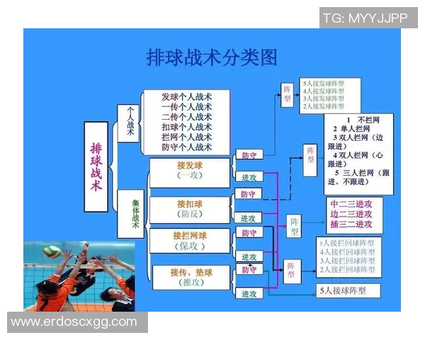 排球战术解析:西安排球队在阵地战中的优势与挑战
