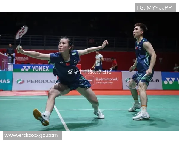 羽毛球热点分析：深入探讨北京羽毛球队的战术布局与竞技策略