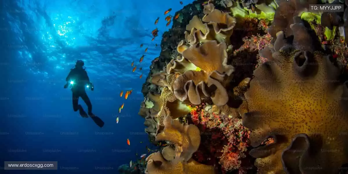 把热爱穿在身上!🎁